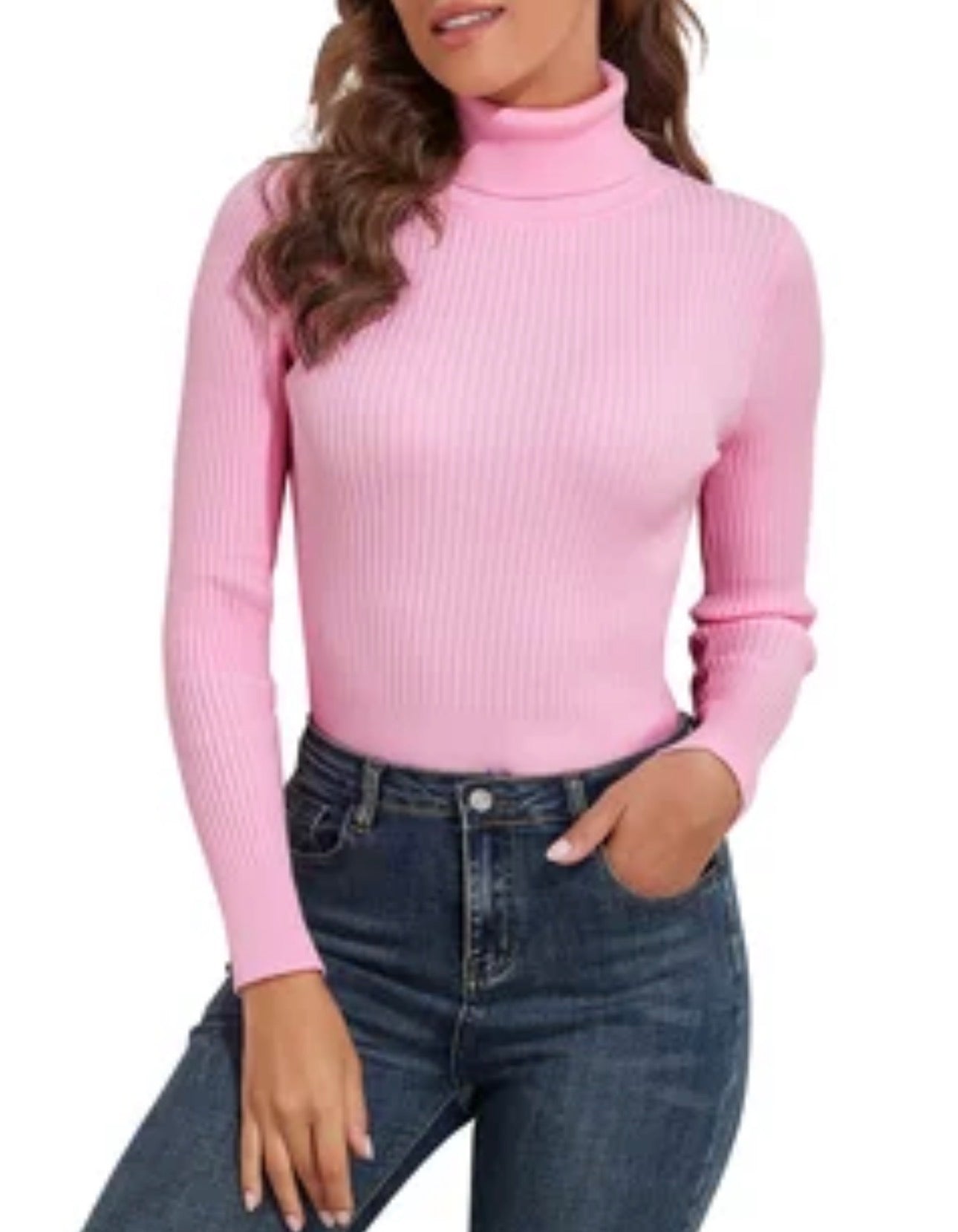 Ribbed Soft Turtle Neck Sweater Top